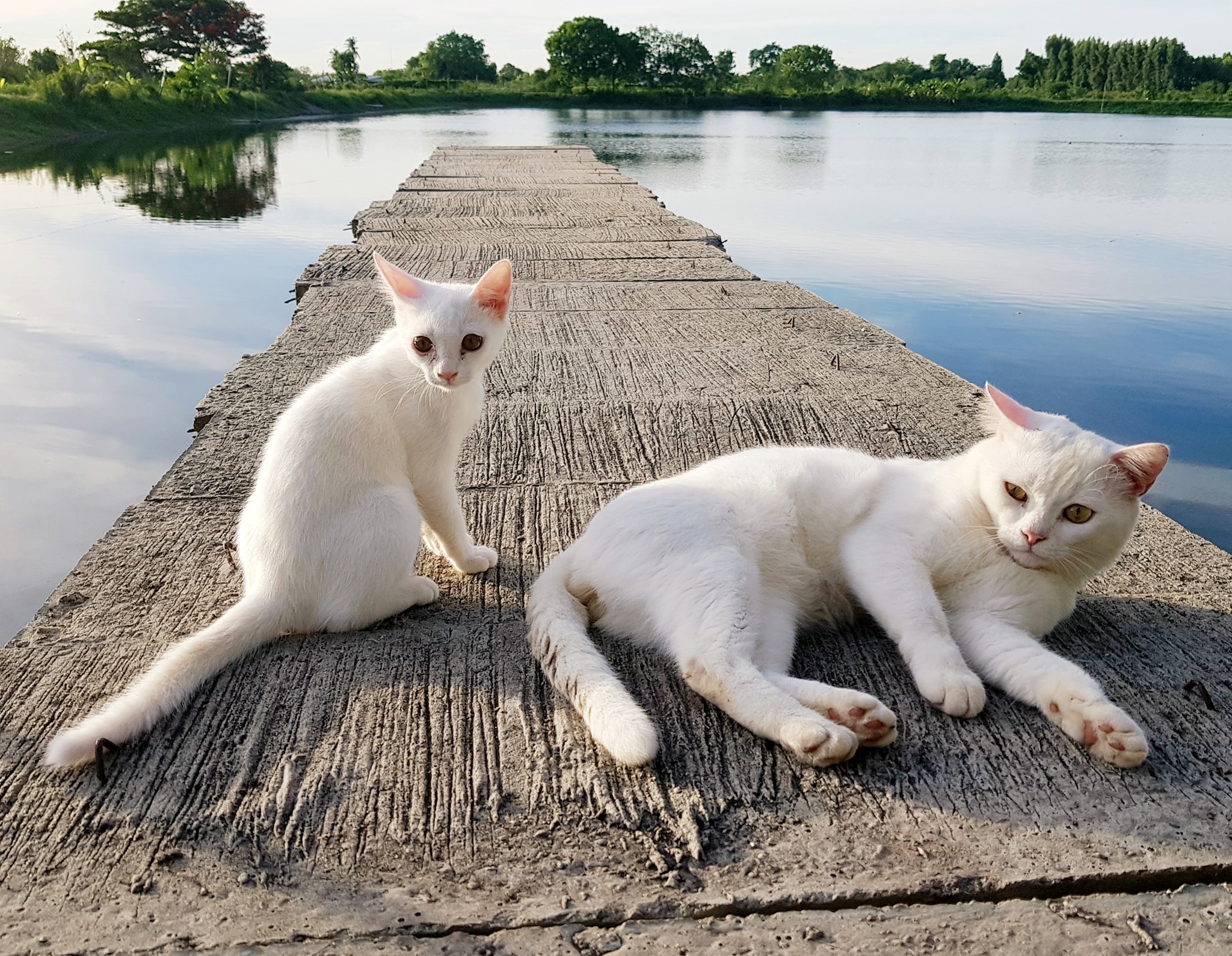 น้องกับพี่ หนีชิ่ง เขาวิ่งหาย 3