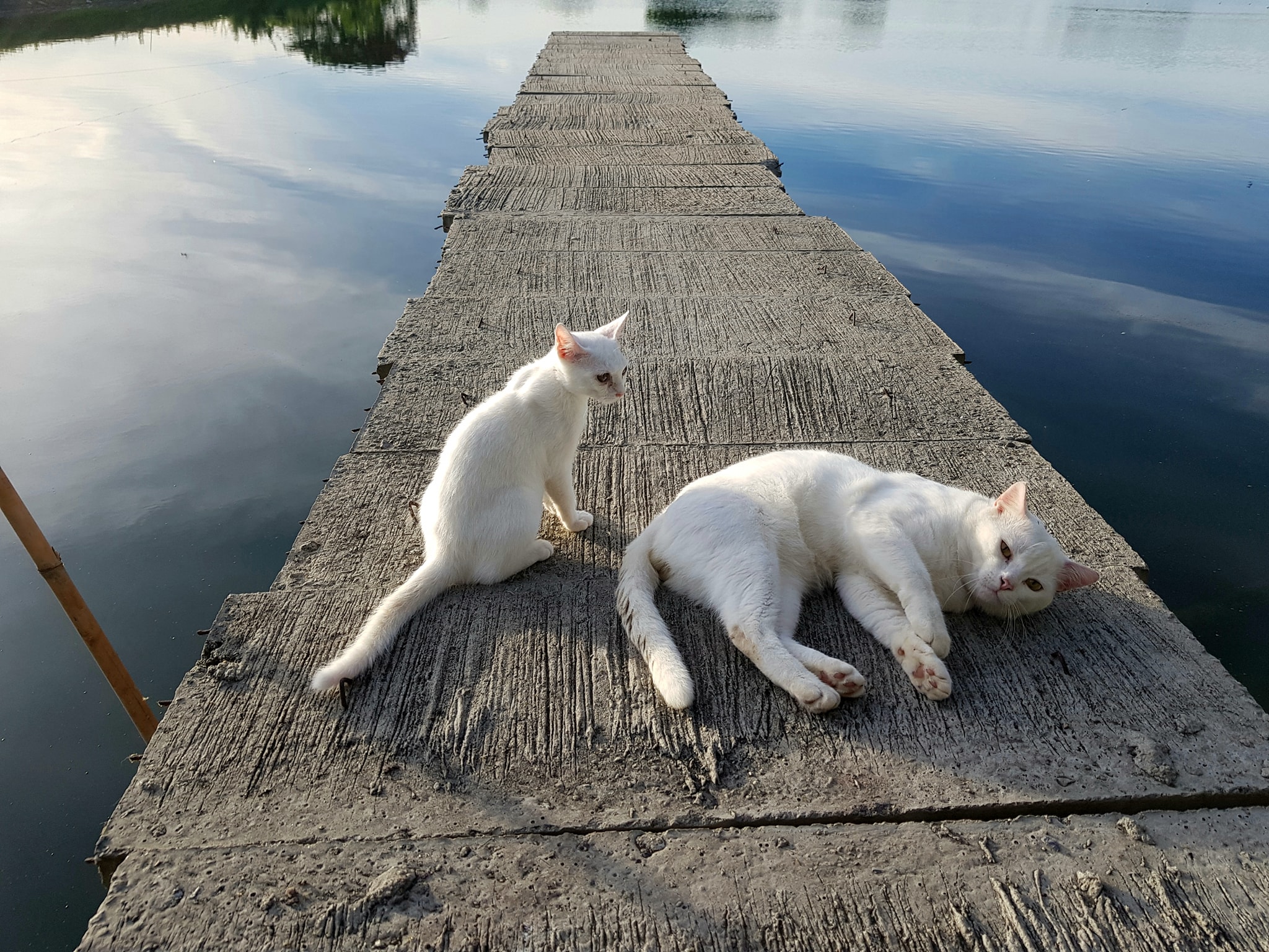 น้องกับพี่ หนีชิ่ง เขาวิ่งหาย 1