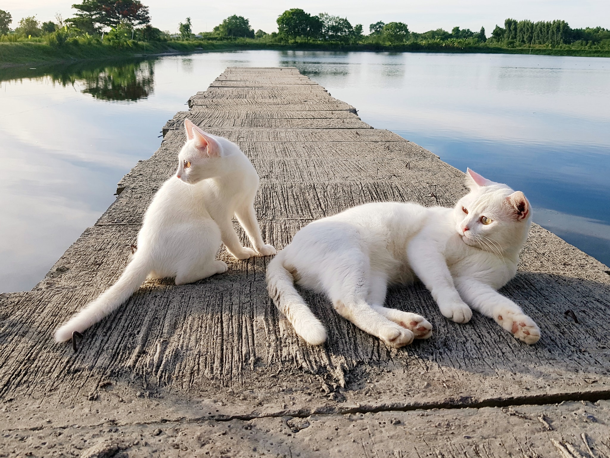 น้องกับพี่ หนีชิ่ง เขาวิ่งหาย 2