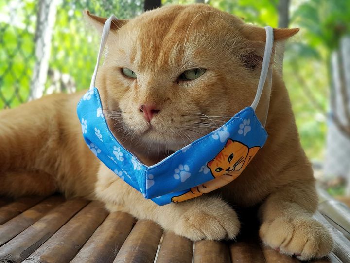 แจ้งทุกท่านที่ช่วยอุดหนุนหน้ากากผ้าครับ 1