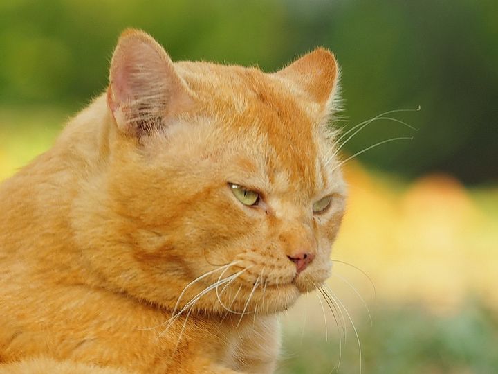 เรื่องมันเศร้า ขอข้าวจาน ทานให้จุก 1