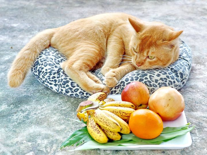 ผลไม้ หลายหลาก เก็บจากไร่ 1