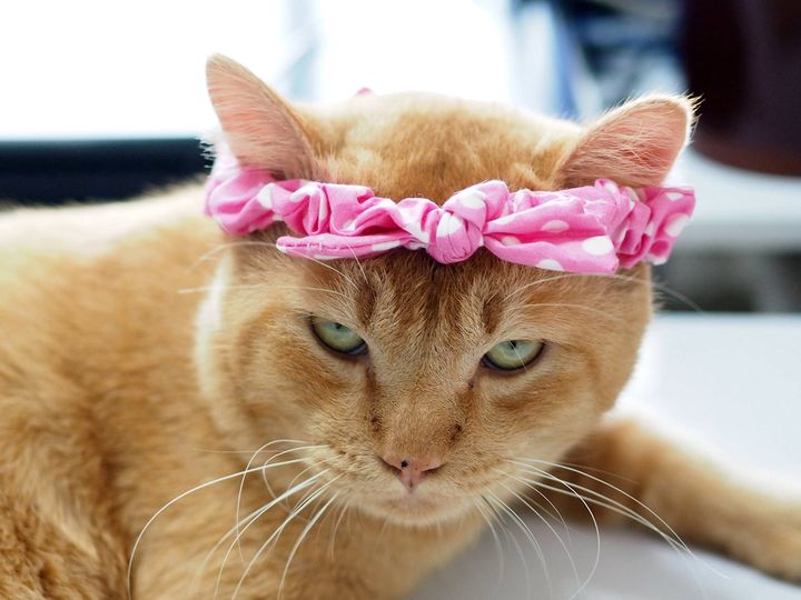 อินบ็อกซ์มา วาจา ภาษาพูด 1