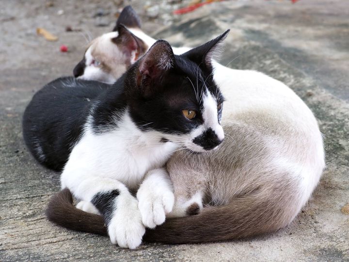 ๑๑ ภัสรา/ซาร่า 1
