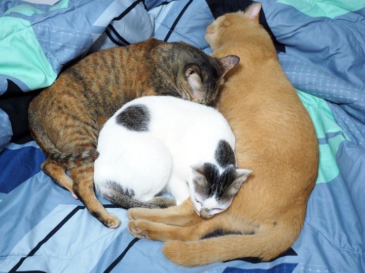 กลับเกือบเช้า สาวน้อย คอยนอนข้าง 1