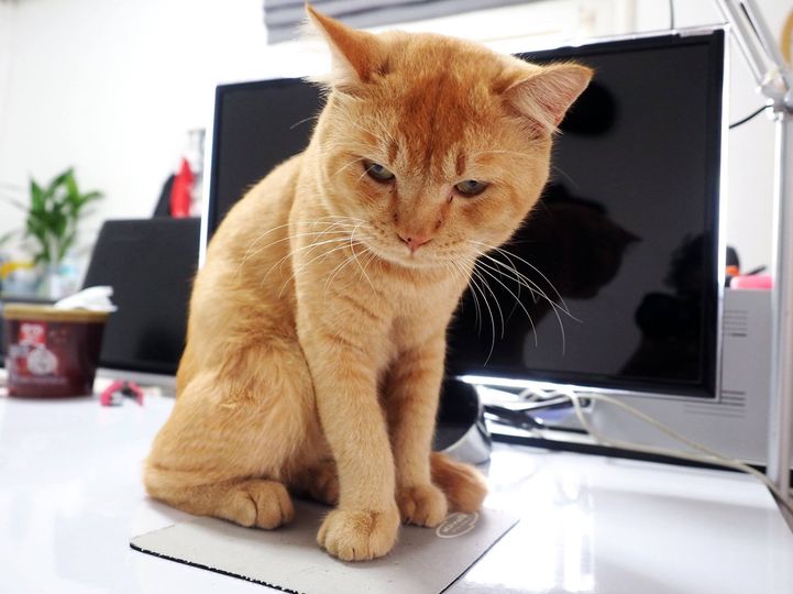 นั่งรอคน ทนฝืน ทั้งคืนค่ำ 1