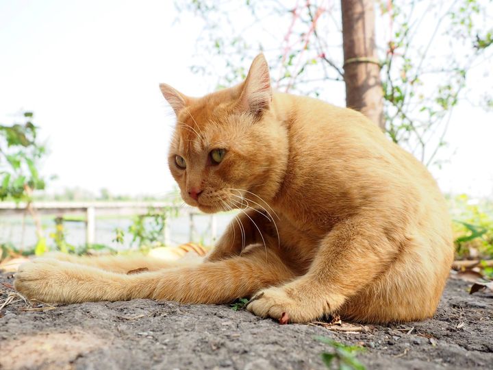 เตรียมทำงาน ฉันมา หาเงินก่อน 1