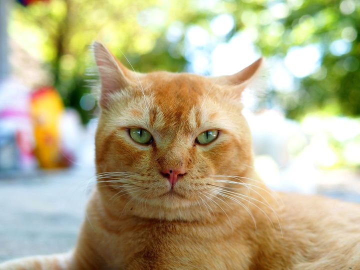 ตอนเข้าฌาน มั่นใจ ว่าได้เลข 1