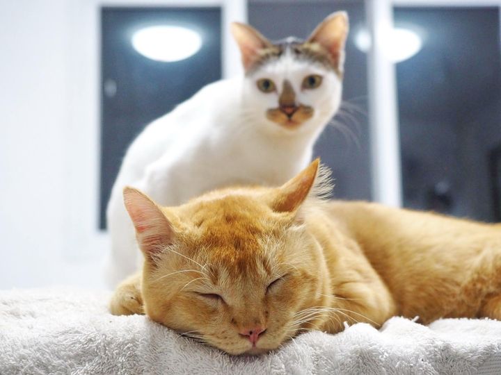 หาหมอมา ตาเจ็บ เหมือนเล็บข่วน 1