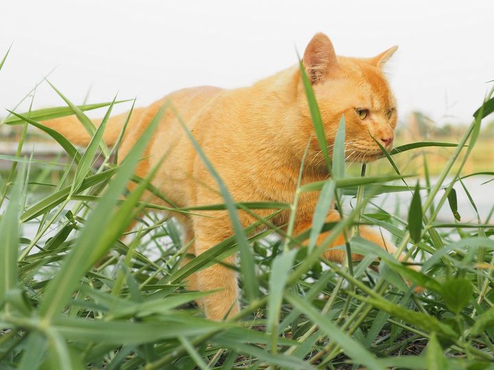 วันอาทิตย์ คิดท้อ พอคนทัก 1