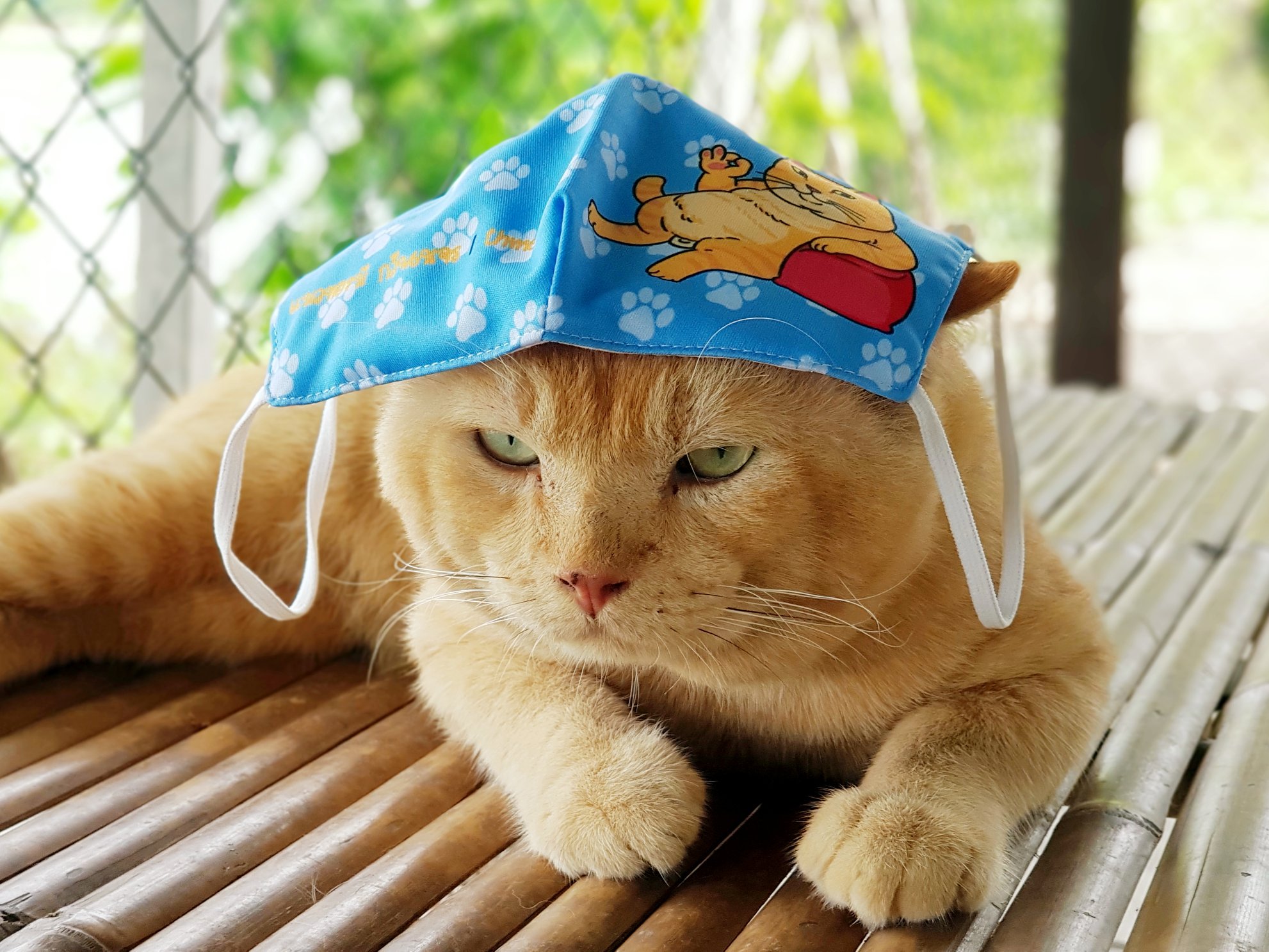 #หน้ากากผ้า เริ่มจัดส่งแล้วนะครับ ท่านที่จัดส่งไปแล้ว จะแจ้งรหัสจัดส่งไปทางข้อคว 1