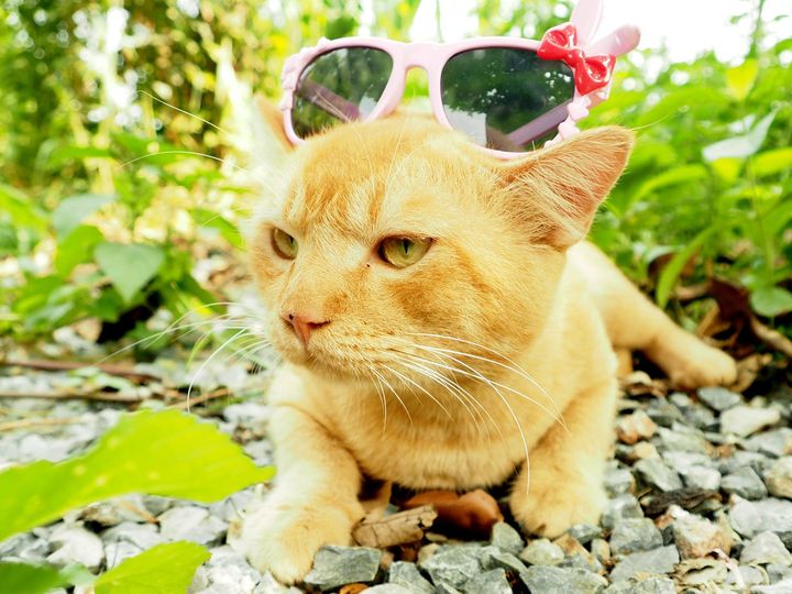 ฉันหิวมาก อยากบอก จะออกล่า 1