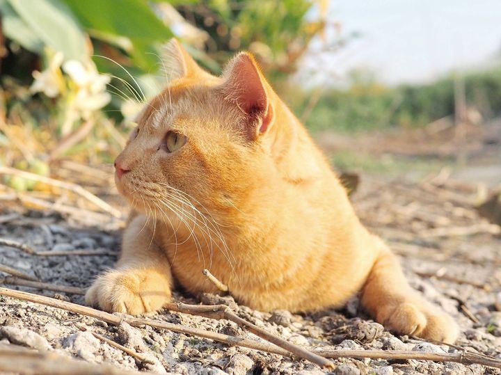 อยากเล่นน้ำ ดำว่าย คลายร้อนบ้าง 1