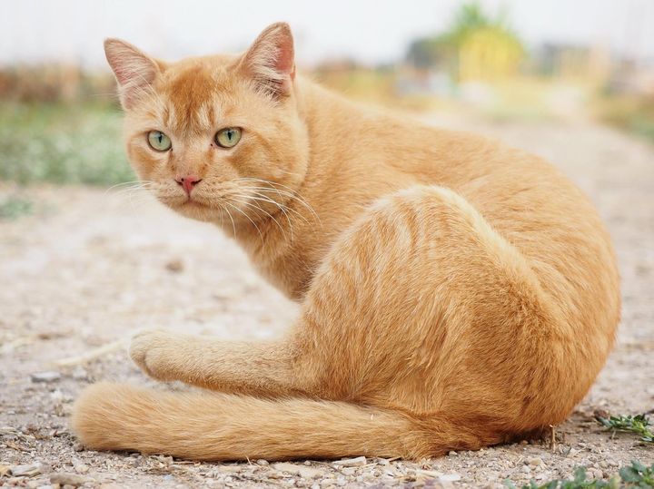 ฉันนั่งจ้อง มองเพ่ง ตาเล็งนิ่ง 1