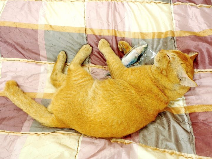 มาพักร้อน นอนตะแคง เอาแรงหน่อย 1