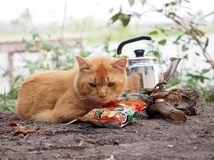 ร้อนจนแล้ง แห้งหนัก ผักปลาหมด 1