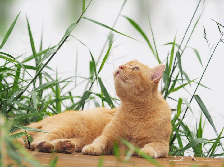 ฟ้าครืนครืน ชื่นใจ สายฝนหลั่ง 1