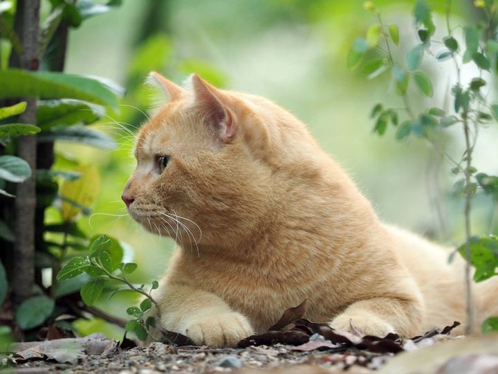 สงกรานต์นี้ ดีนัก ได้พักร้อน 1