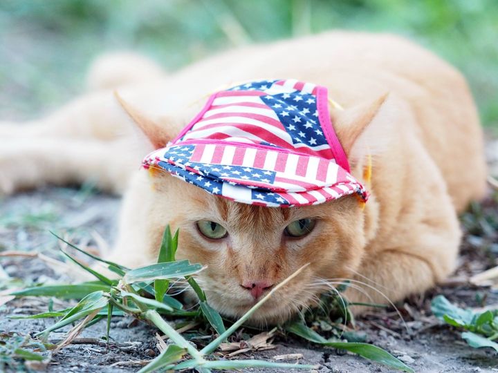 เตรียมทำงาน สานฝัน ขยันเพิ่ม 1