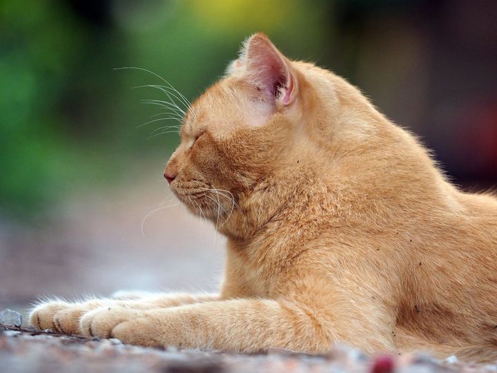 สุดจะร้อน อ่อนใจ ตอนบ่ายคล้อย 1