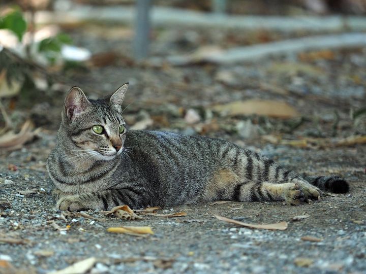 ฉันเบื่อมาก อยากฝึก นึกออกล่า 1