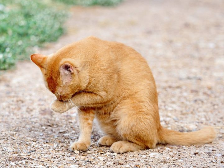 คนบอกผอม ตรอมใจ อะไรเล่า 1
