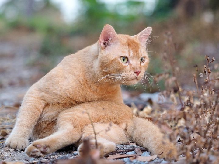 มาเจอสาว ชาวคลอง เธอร้องแอ๋ว 1