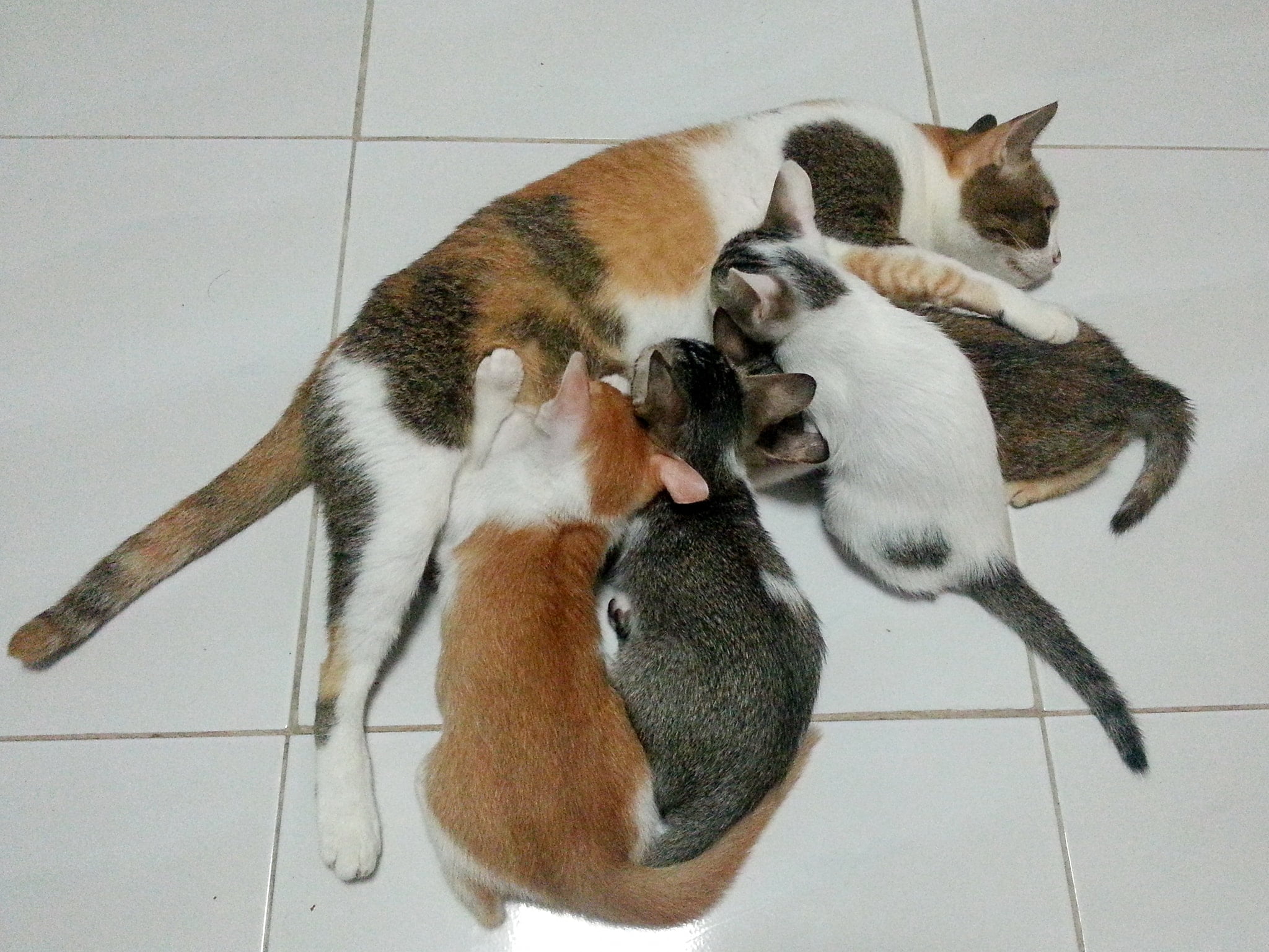 สุขสันต์ #วันแม่ ขอให้คุณแม่และคุณลูกทุกท่านมีความสุขมาก ๆ ครับ 1