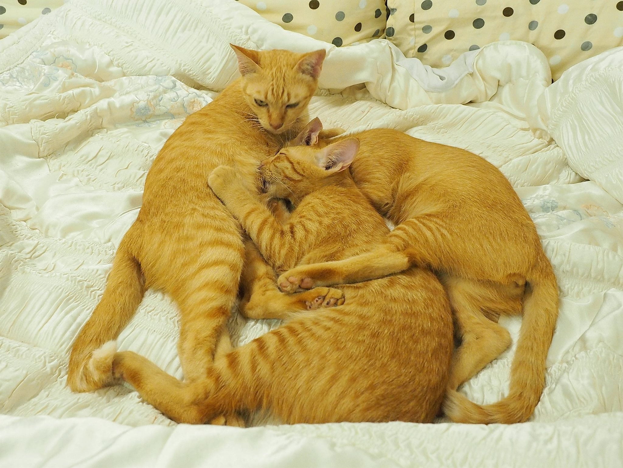 สุขสันต์ #วันแม่ ขอให้คุณแม่และคุณลูกทุกท่านมีความสุขมาก ๆ ครับ 3