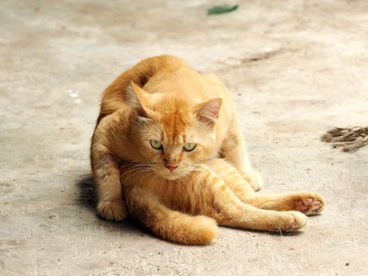 แผ่นดินชื้น พื้นฉ่ำ ตัวคล้ำหม่น 1