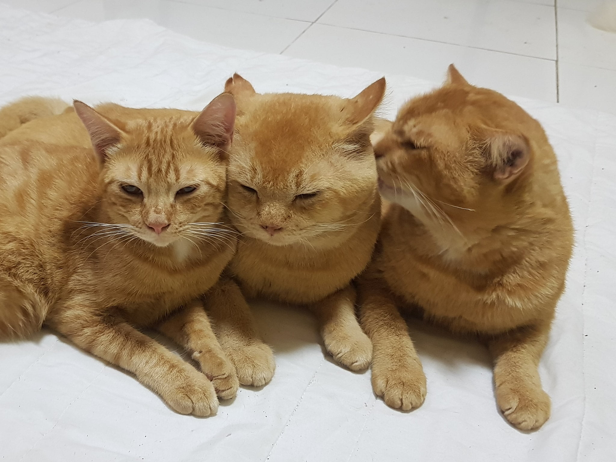 อยู่ริมฝั่ง นั่งเผลอ หนูเจอผี 2