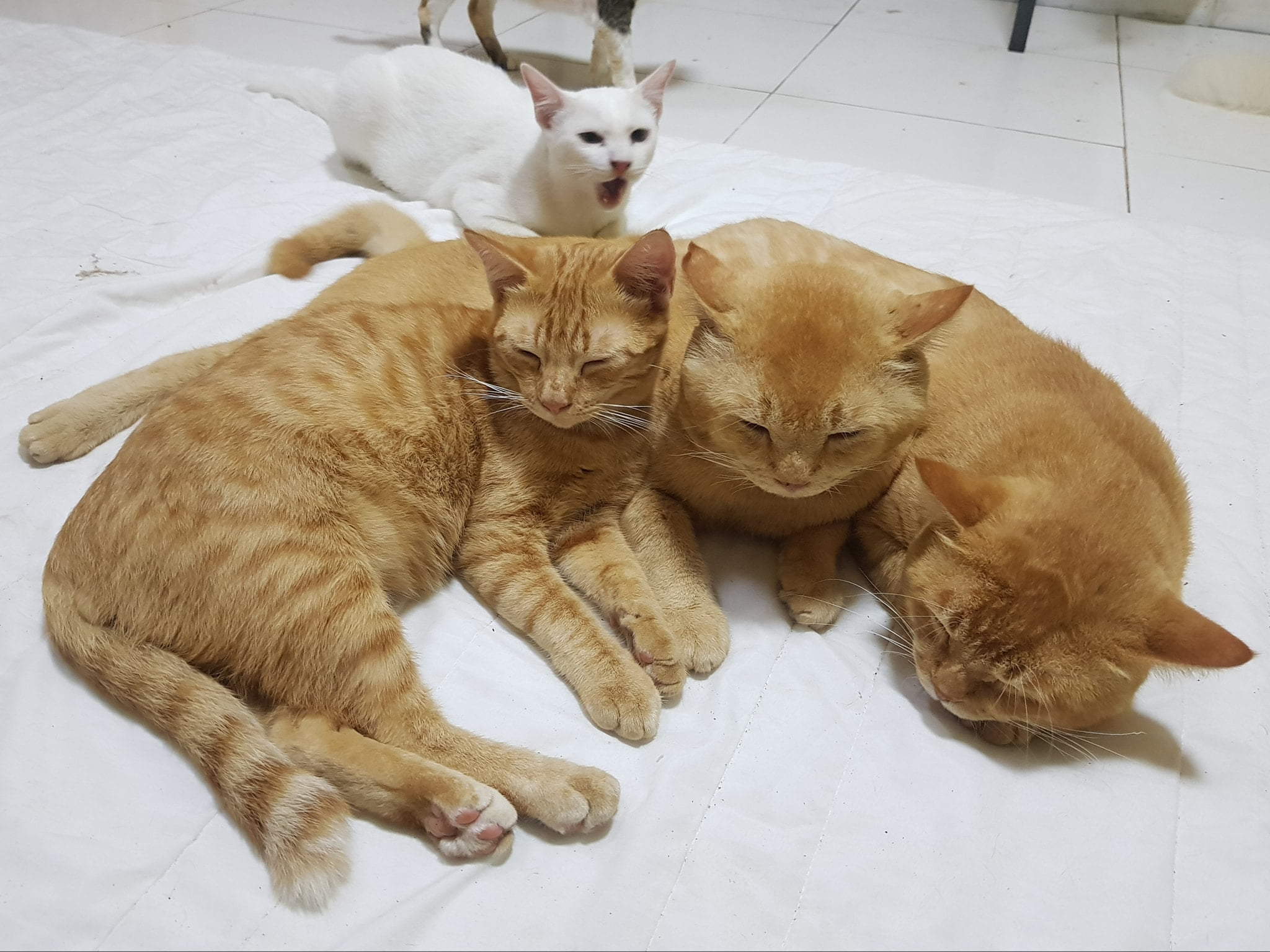 อยู่ริมฝั่ง นั่งเผลอ หนูเจอผี 4