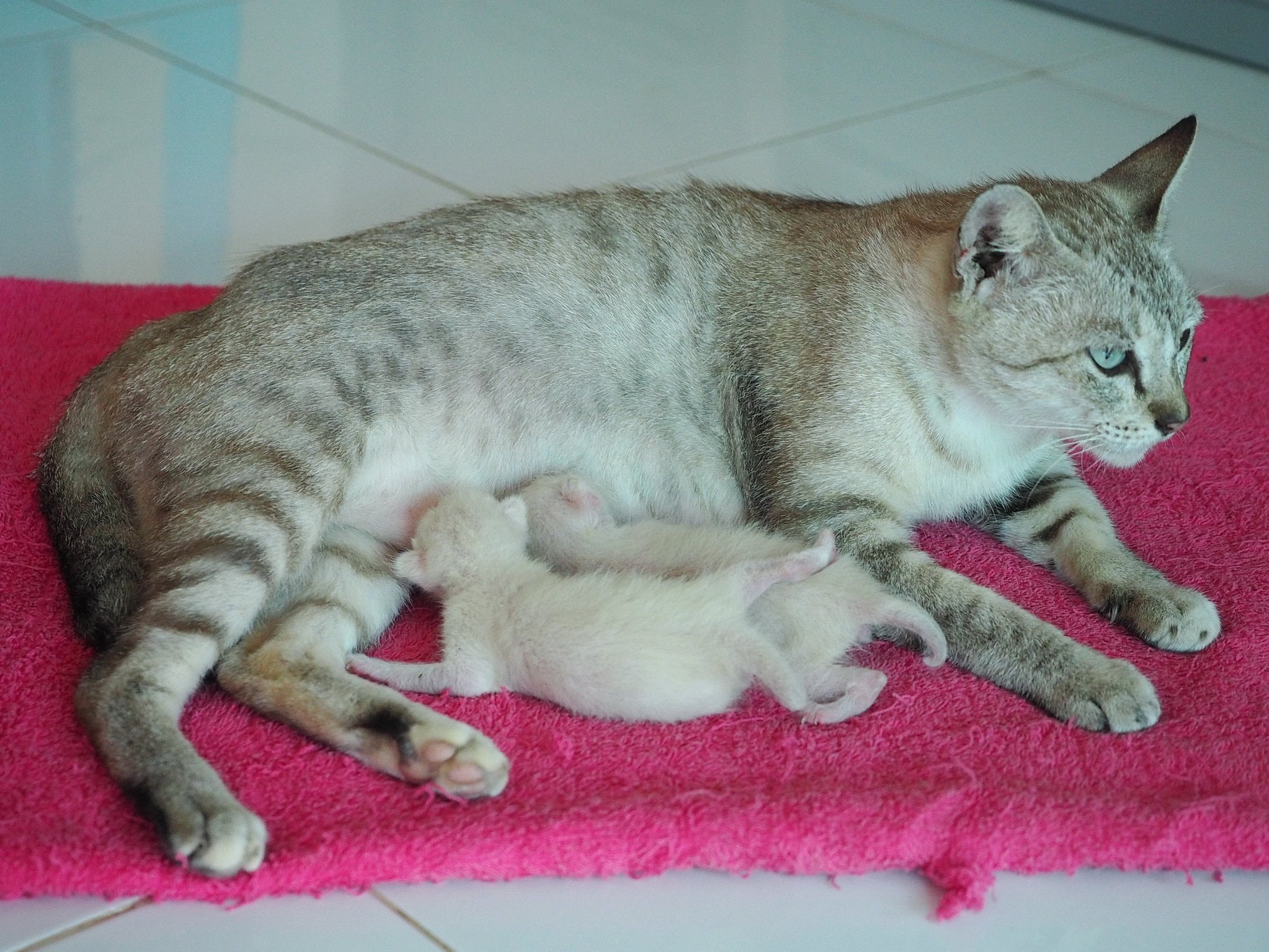 สุขสันต์ #วันแม่ ขอให้คุณแม่และคุณลูกทุกท่านมีความสุขมาก ๆ ครับ 2