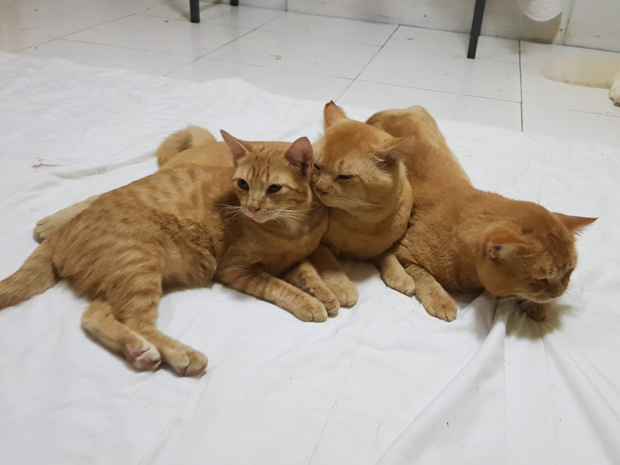 อยู่ริมฝั่ง นั่งเผลอ หนูเจอผี 1