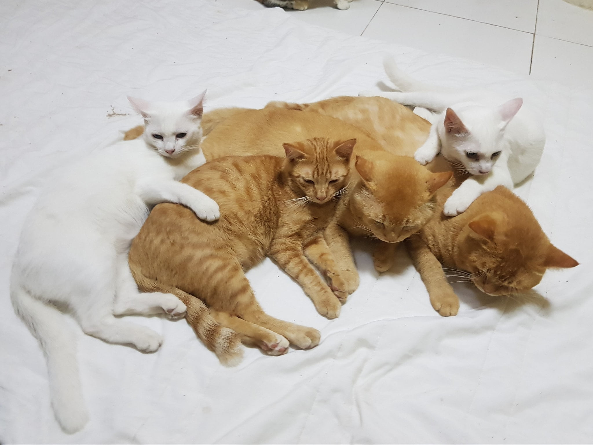 อยู่ริมฝั่ง นั่งเผลอ หนูเจอผี 5
