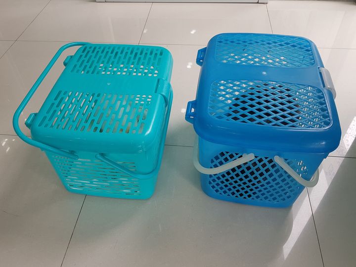 วันนี้พามะเหมี่ยวกับสมสองไปหาหมอครับ 1