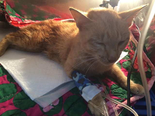 #อัปเดต6 - 23 ส.ค. - 12.20น. 1