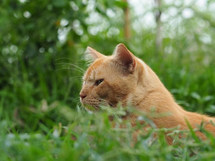 คนมาย้ำ ตามบอก ห้ามออกเที่ยว 1