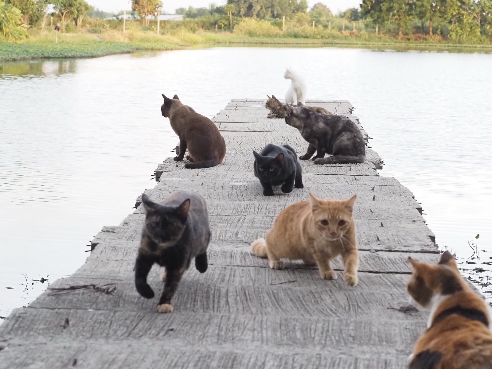 เรื่องแผนการ งานใหญ่ ใจต้องนิ่ง 4