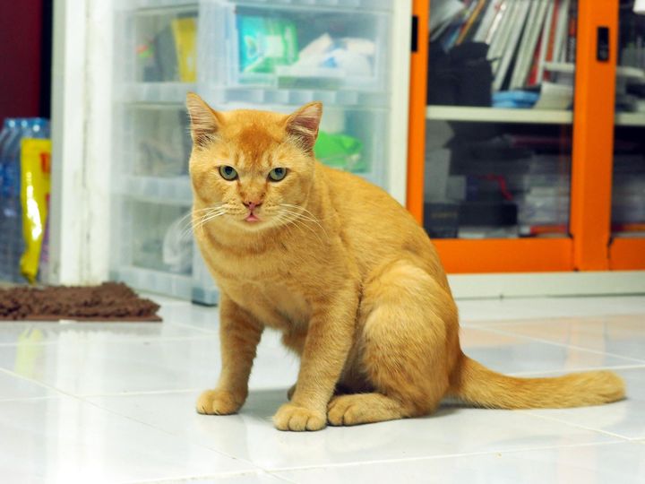ไม่รีบนอน ตอนนี้ เดี๋ยวผีออก 1