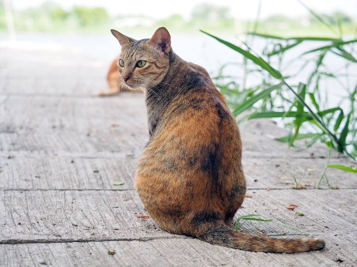 ได้ยินข่าว เล่าเรื่อง กลางเมืองใหญ่ 1