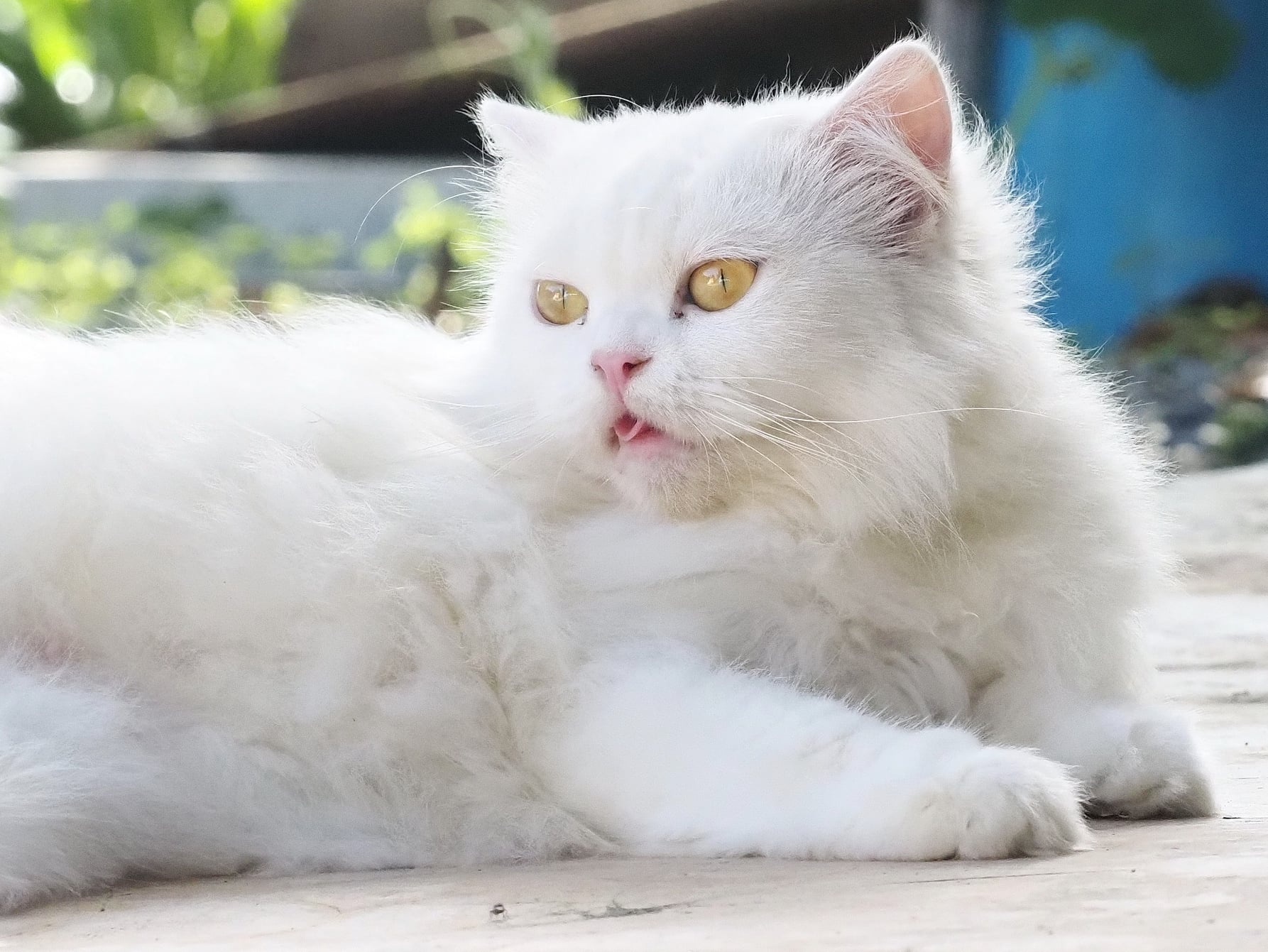 พายุมา ฟ้ามัว ไม่กลัวฝน 1