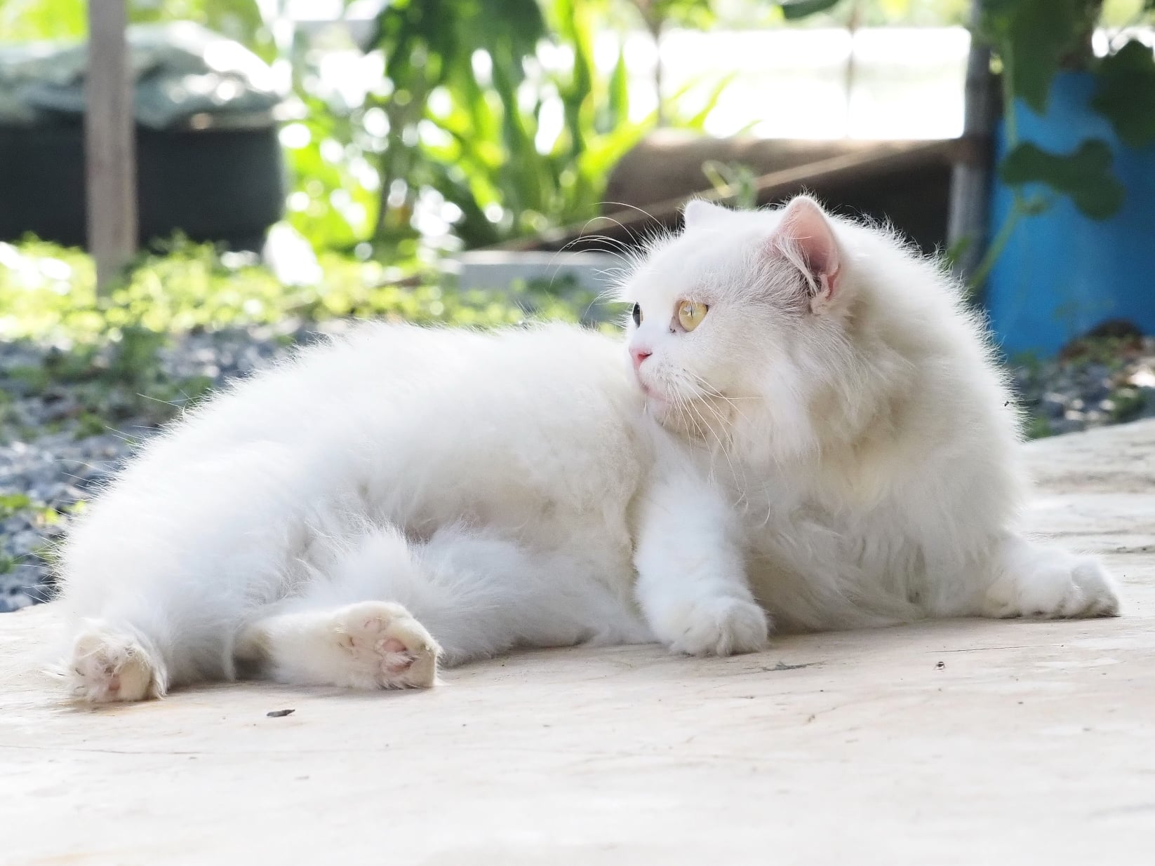พายุมา ฟ้ามัว ไม่กลัวฝน 2