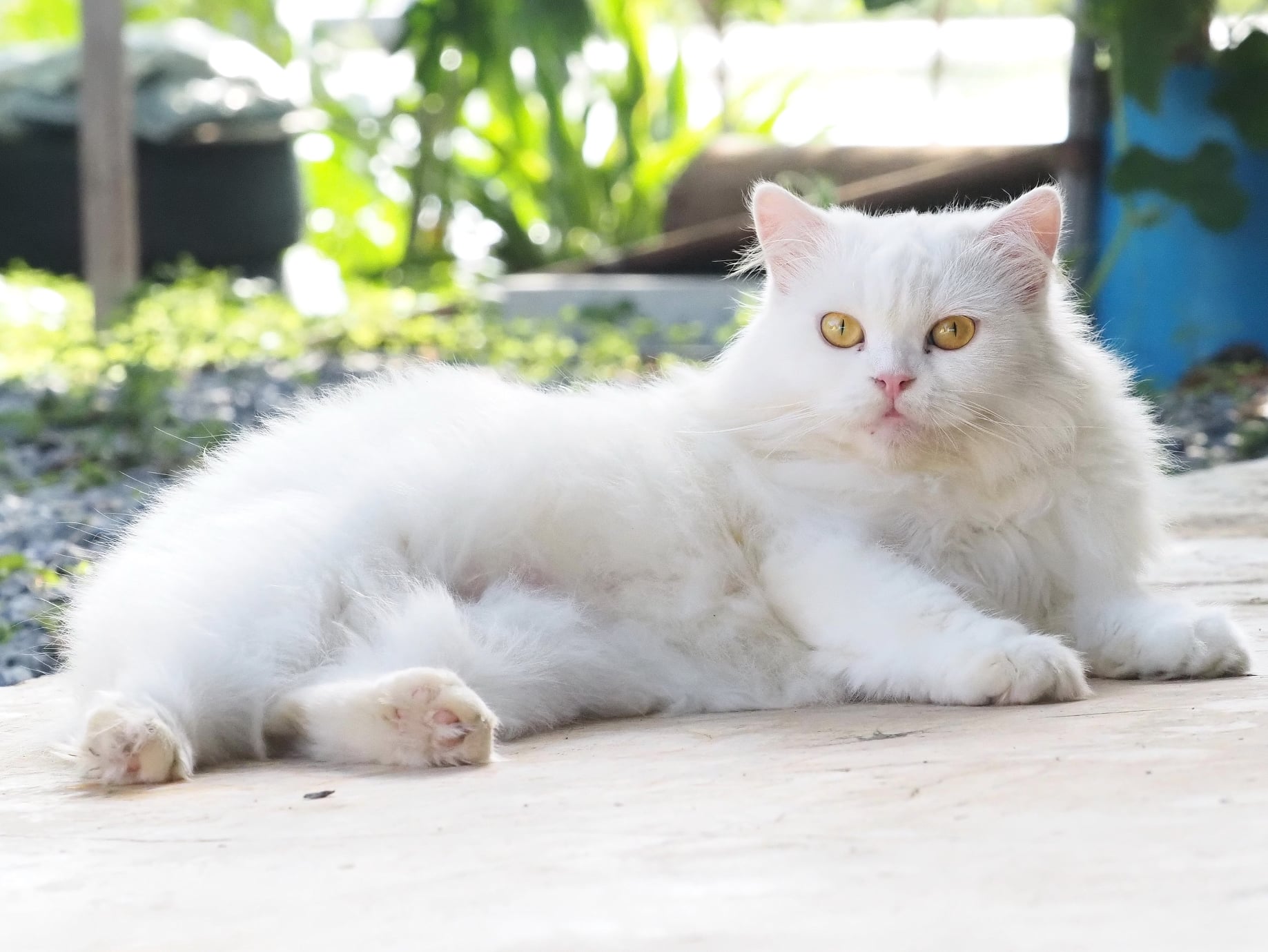 พายุมา ฟ้ามัว ไม่กลัวฝน 4