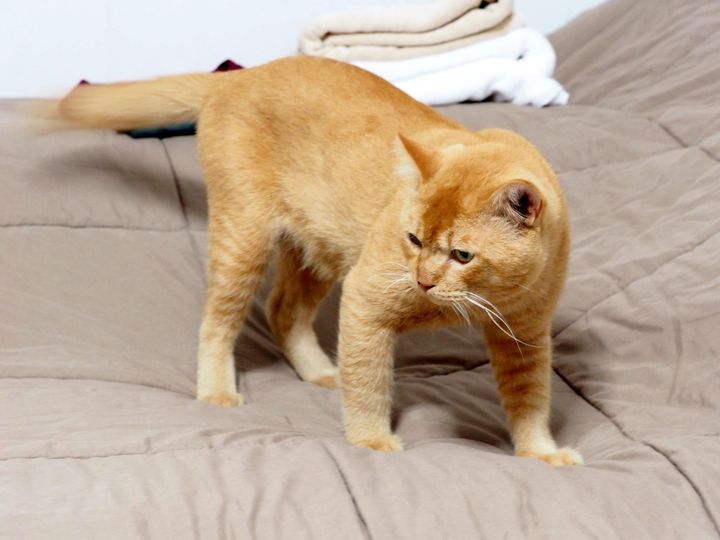 เตรียมรอท่า เขาจะพา ไปหาหมอ 1