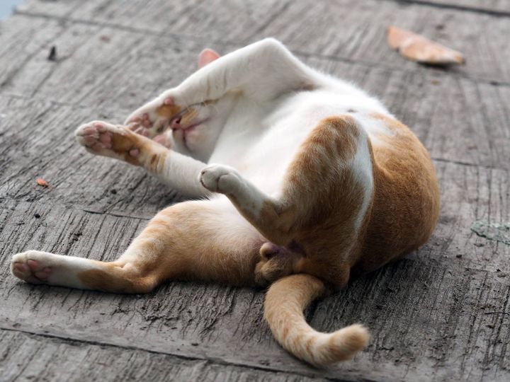 แค่หลับยาม สามครั้ง ยังไม่รอด 1