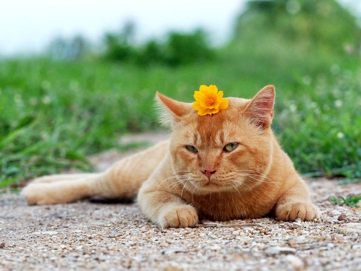 เย็นวันหยุด สุดชิล ชมทิวทุ่ง 1