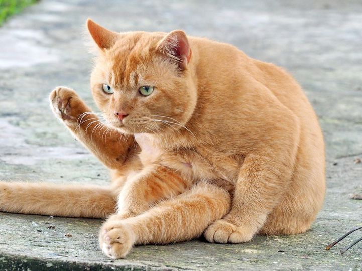 นั่งชมวิว ทิวนา เวลาว่าง 1