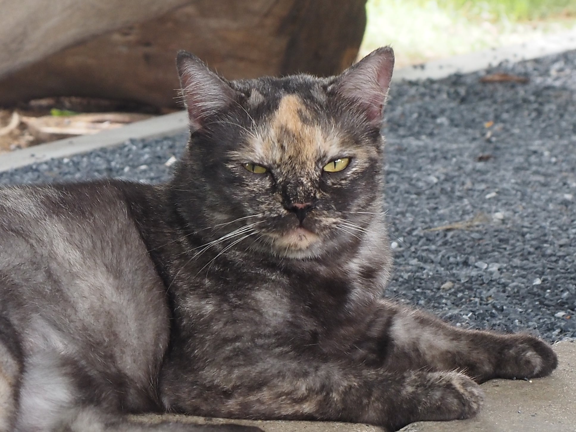 พอฝนพรำ ซ้ำติด ลูกศิษย์หนี 3