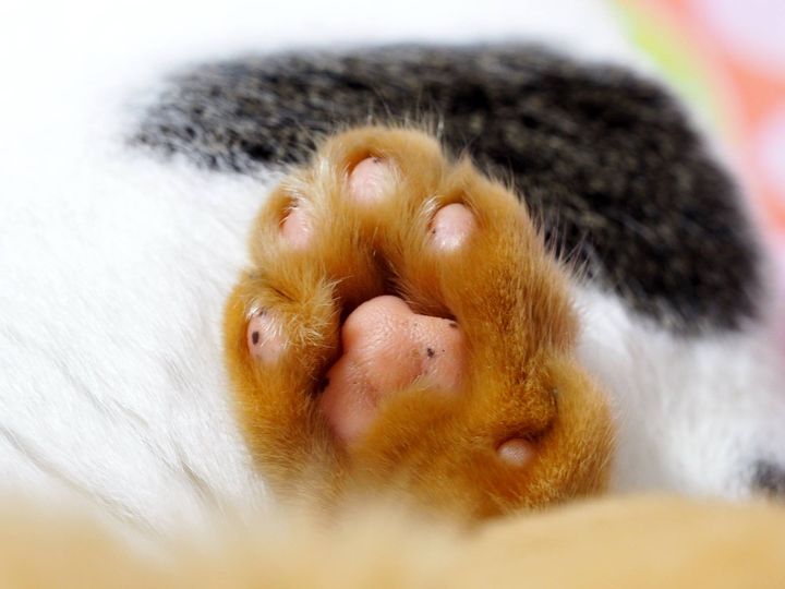 โบกมือลา ตาพริ้ม ส่งยิ้มให้ 1